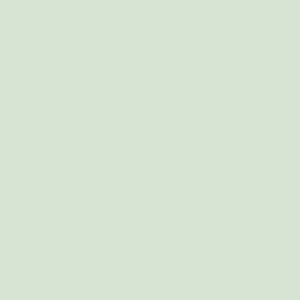 Cover for the Original Theraline PU coated - light green