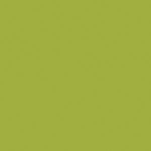 Cover for the Original Theraline Design 14 "Reed Green" Jersey